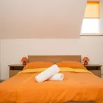 Bed & Breakfast Berkes Vendeghaz 3*